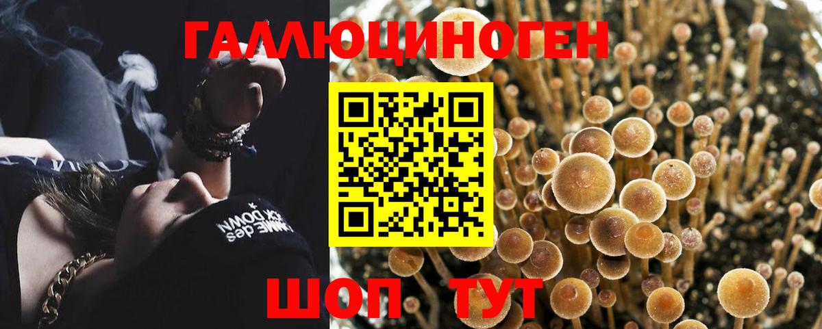 Галлюциногенные грибы Psilocybe Воскресенск