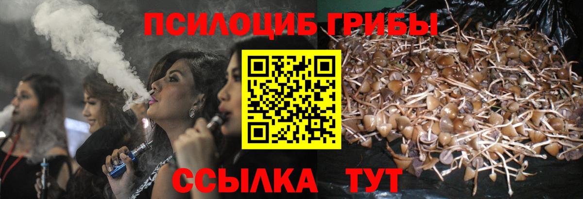 Псилоцибиновые грибы Psilocybe  Вход с VPN  Галлюциногенные грибы мицелий  Воскресенск 